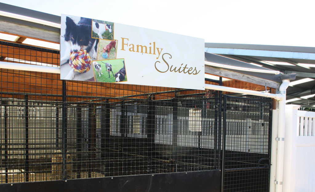 Dogs Country Club Signage | Alicia Whetton